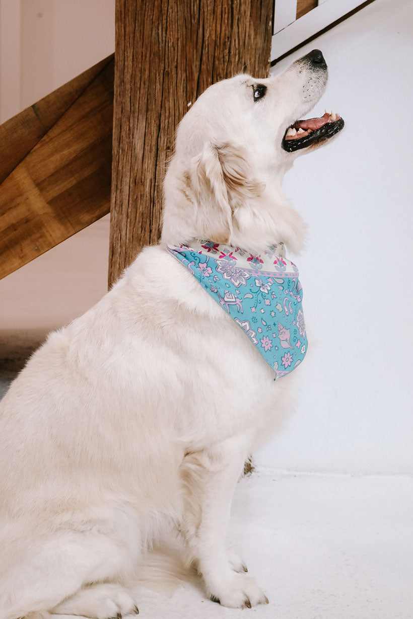 Lovers Beach Dog Bandana - Large